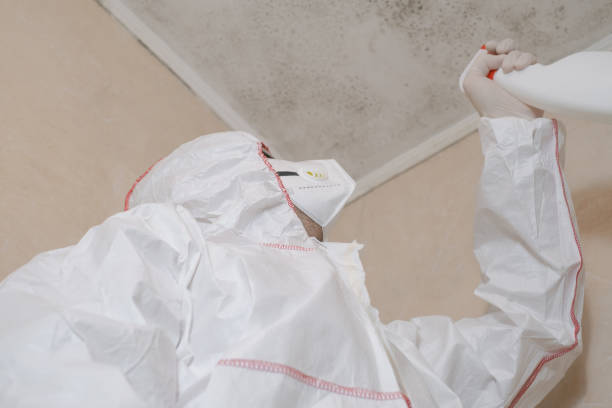 Best Local Mold Removal Service  in Bowling Green, MO