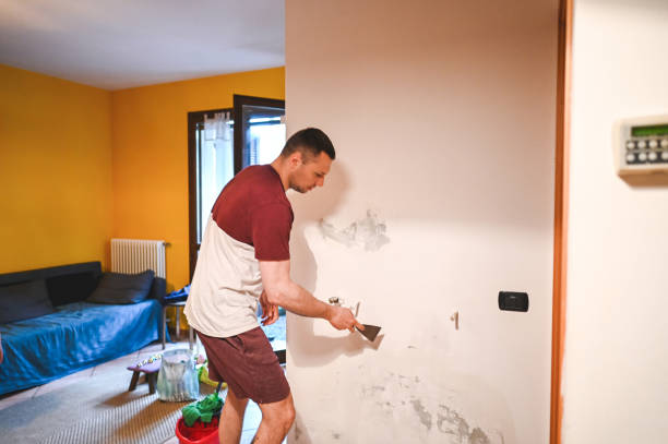 Best Crawl Space Mold Removal  in Bowling Green, MO